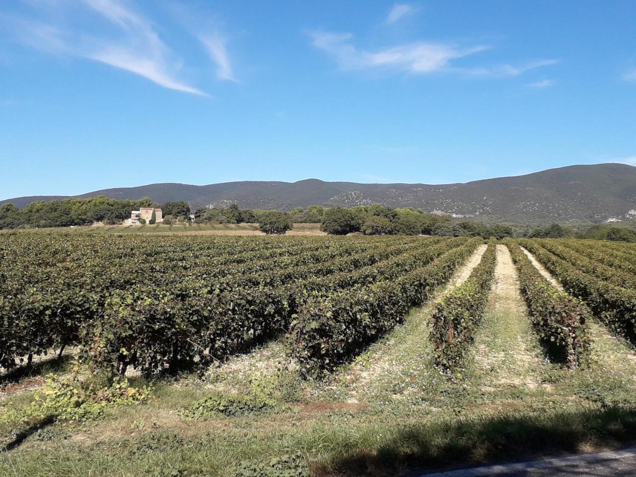 Le Mas Du Colombier Cadenet Eksteriør billede