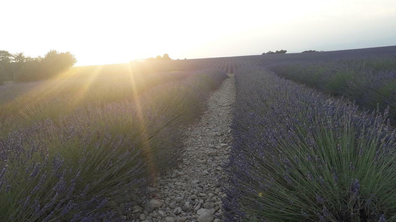 Le Mas Du Colombier Cadenet Eksteriør billede